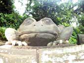 Stone frog keeps a lookout over the Chinese Garden