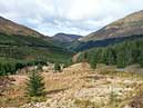 The Argyll Forest Park - Argyll & Bute
