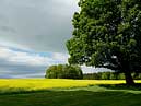 Rural scene at Haddo House - Aberdeenshire