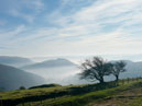 Horseshoe Pass - Llangollen - Denbighshire