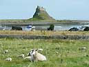 Lindisfarne - Northumberland