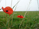 The Holy Island of Lindisfarne - Northumberland