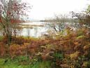 Stroan Loch - Dumfries & Galloway 