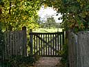 Tintinhull Garden, Somerset