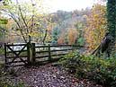 Wetheral Woods and the River Eden (Cumbria)