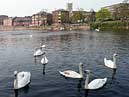 The River Severn - Worcester