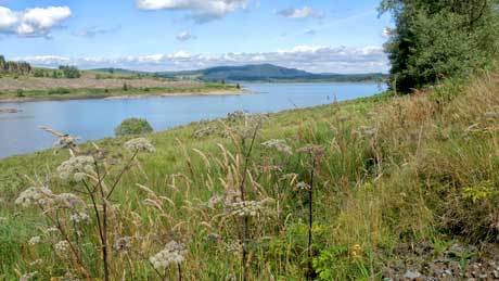 Clatteringshaws Loch - Dumfries and Galloway