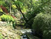The Dell - Bodnant Garden, Conwy