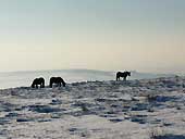 The end of a cold day on the summit of Brown Wardle, Whitworth, Lancashire