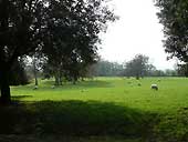 Hidcote Manor - Gloucestershire