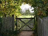 Tintinhull Garden, Somerset
