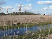 Wicken Fen National Nature Reserve - Cambridgeshire