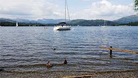 Windermere from the Brockhole Visitor Centre, Cumbria<