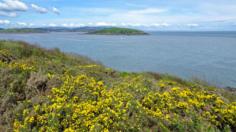 Hestan Island from Balcary Point, Dumfries & Galloway (OS Grid Ref. NX827492 Nearest Post Code DG7 1QZ)